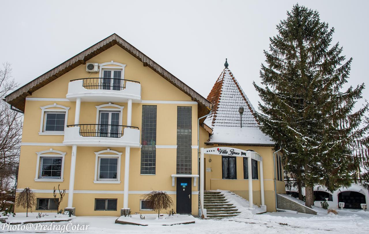 B&B Villa Pipacs Feketić Eksteriør bilde